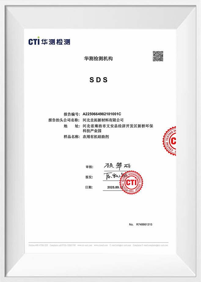 Center Testing International Group